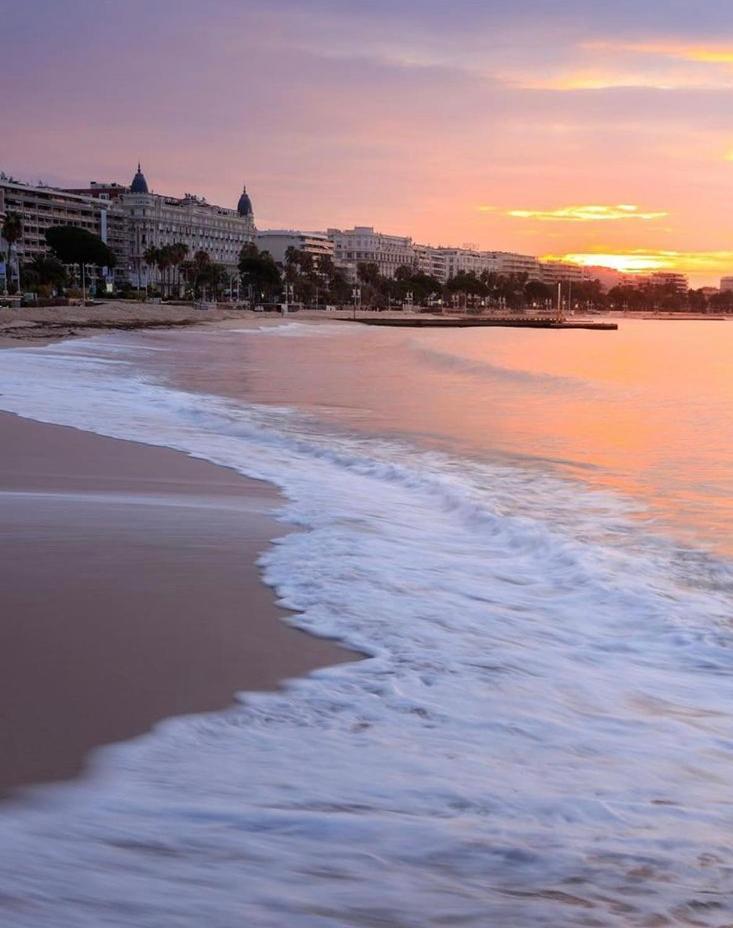 Superbe Studio Proche Palais Et Plages A Pieds Cannes Esterno foto