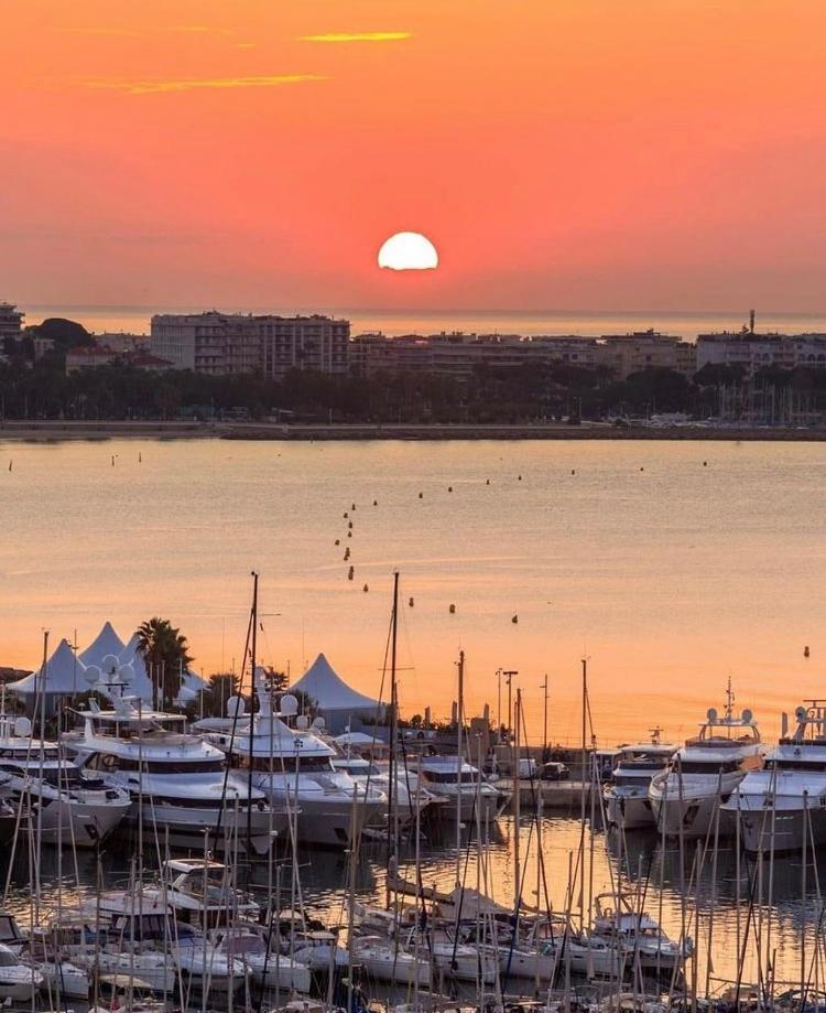 Superbe Studio Proche Palais Et Plages A Pieds Cannes Esterno foto